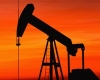 OPEC zvýšil odhad světové poptávky po ropě na příští rok