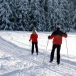 Odškodnění újmy na zdraví za lyžařský úraz