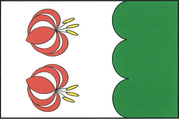 List tvoří dva svislé pruhy, v poměru 7 : 3, bílý a zelený vlnkovaný se třemi vrcholy. V bílém pruhu pod sebou dva květy lilie zlatohlavé tyčinkami k vlajícímu okraji. Poměr šířky k délce listu je 2 : 3.