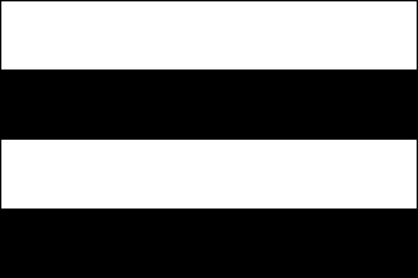 List tvoří čtyři vodorovné pruhy - bílý, černý, bílý a černý. Poměr šířky k délce listu je 2:3.