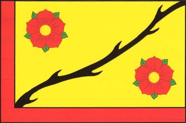 Žlutý list s červeným lemem žerďového a dolního okraje listu, širokým desetinu šířky listu. Z dolního rohu žlutého pole do vlajícího cípu dvakrát prohnutá černá trnová větev provázená dvěma červenými růžemi se žlutými semeníky a zelenými kališními lístky.
