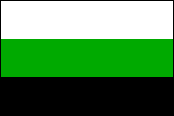 List tvoří tři vodorovné pruhy, bílý, zelený a černý. Poměr šířky k délce listu je 2:3.