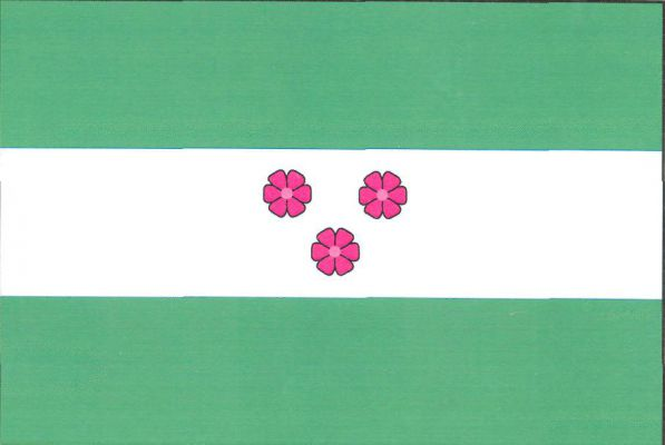 List tvoří tři vodorovné pruhy, zelený, bílý a zelený. Uprostřed bílého pruhu tři (2, 1) červené šestilisté květy. Poměr šířky k délce listu je 2 : 3.