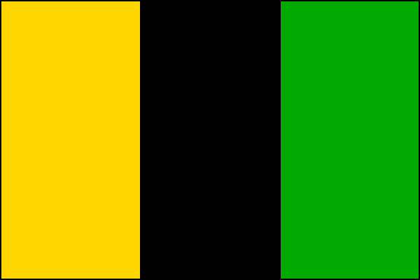 List tvoří tři svislé pruhy, žlutý, černý a zelený. Poměr šířky k délce listu je 2:3.