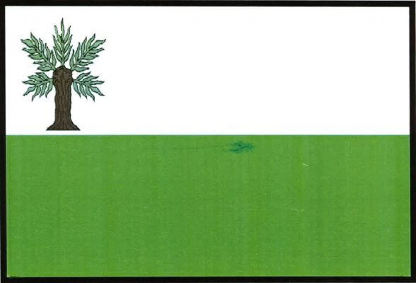 List tvoří dva vodorovné pruhy, bílý a zelený. V bílém pruhu u žerďového okraje zelená vrba s hnědým uťatým kmenem. Poměr šířky k délce listu je 2 : 3.
