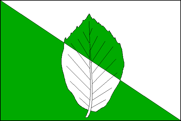 Zeleno-bíle kosmo dělený list; uprostřed vztyčený bukový list opačných barev. Poměr šířky k délce listu je 2:3.