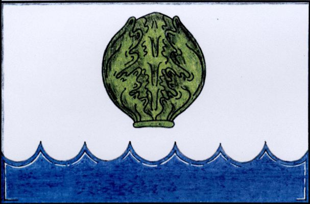 List tvoří dva vodorovné pruhy, bílý a vlnkovitý modrý, v poměru 3 : 1. V bílém pruhu zelená hlávka zelí. Poměr šířky k délce listu je 2 : 3.