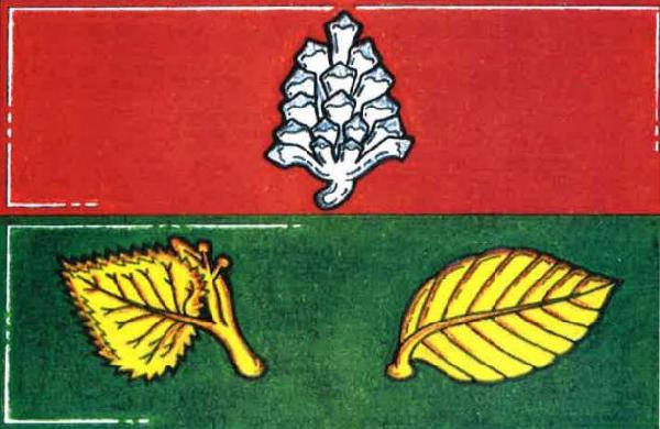 List tvoří dva vodorovné pruhy, červený a zelený. V červeném vztyčená bílá borová šiška, v zeleném dva odvrácené žluté listy, lipový s listenem o dvou plodech a bukový. Poměr šířky k délce listu je 2 : 3.