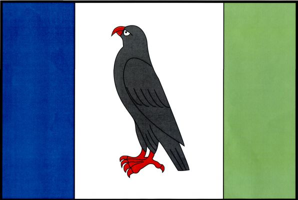 List tvoří tři svislé pruhy, modrý, bílý a zelený, v poměru 1 : 2 : 1. V bílém pruhu černý sokol s červenou zbrojí. Poměr šířky k délce listu je 2 : 3.