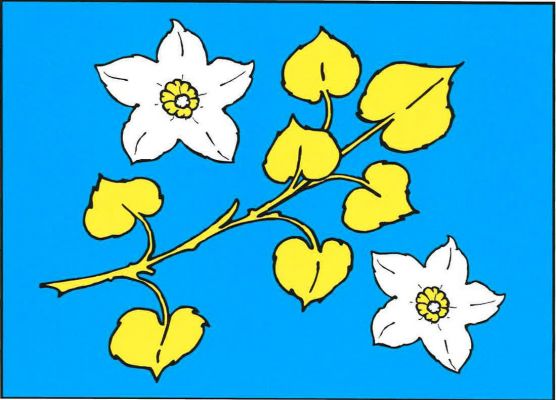V modrém listu šikmo žlutá lipová větev, provázená dvěma bílými bramborovými květy se žlutými středy. Poměr šířky k délce listu je 2 : 3.