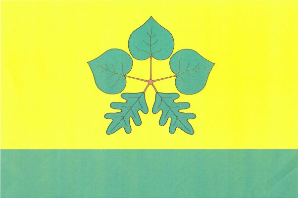 List tvoří dva vodorovné pruhy, žlutý se zeleným pětilistem s hnědými stopkami, se třemi lipovými listy nahoře a dvěma dubovými listy dole, a zelený, v poměru 3 : 1. Poměr šířky k délce listu je 2 : 3.