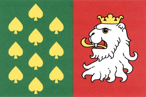 List tvoří dva svislé pruhy, zelený s deseti (1, 2, 1, 2, 1, 2, 1) vztyčenými žlutými lipovými listy a červený s bílou utrženou korunovanou lví hlavou se žlutým jazykem. Poměr šířky k délce listu je 2 : 3.