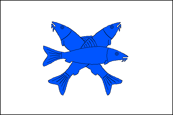 Bílý list se třemi přes sebe položenými modrými rybami, z nichž spodní je položena kosmo hlavou k hornímu rohu, prostřední šikmo hlavou k hornímu cípu a vrchní vodorovně hlavou k vlajícímu okraji. Poměr šířky k délce listu je 2:3.