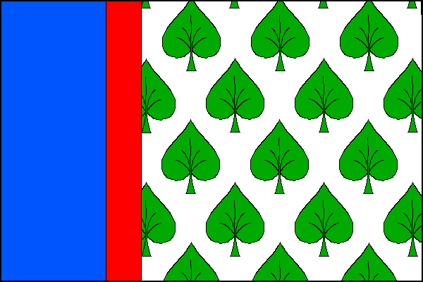 List tvoří tři svislé pruhy, modrý, červený a bílý posetý vztyčenými zelenými lipovými listy, v poměru 3:1:8. Poměr šířky k délce listu je 2:3.