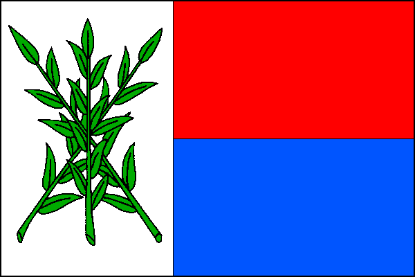 List tvoří bílý žerďový pruh, široký pět dvanáctin délky listu, a dva vodorovné pruhy, červený a modrý. V bílém pruhu tři zelené zkřížené vztyčené vrbové pruty s listy. Poměr šířky k délce listu je 2:3.