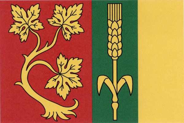 List tvoří tři svislé pruhy, červený, zelený a žlutý, v poměru 2 : 1 : 1. V červeném pruhu vykořeněný stonek vinné révy se třemi listy, v zeleném obilný klas se dvěma listy, vše žluté. Poměr šířky k délce listu je 2 : 3.