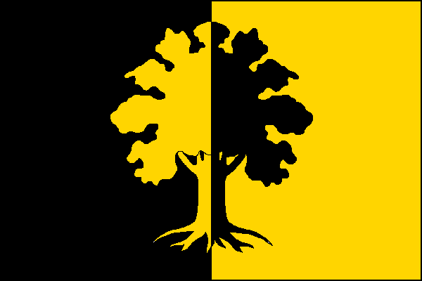 List tvoří černá žerďová a žlutá vlající část. Uprostřed dub opačných barev. Poměr šířky k délce listu je 2:3.