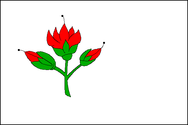 Bílý list se zelenou snítkou vřesu s jedním červeným květem mezi dvěma poupaty v žerďové části. Poměr šířky k délce listu je 2:3.