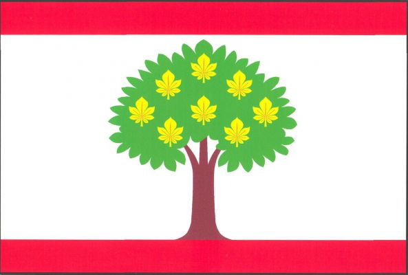 List tvoří tři vodorovné pruhy, červený, bílý a červený, v poměru 1 : 6 : 1. Do bílého pruhu vyrůstá zelený listnatý strom s hnědým kmenem s korunou posázenou osmi žlutými vztyčenými listy jírovce. Poměr šířky k délce listu je 2 : 3.