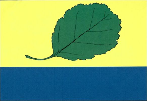 List tvoří dva vodorovné pruhy, žlutý a modrý, v poměru 2 : 1. Ve žlutém pruhu šikmo zelený olšový list. Poměr šířky k délce listu je 2 : 3.