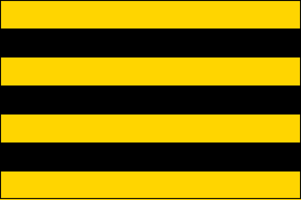 List praporu tvoří střídavě čtyři žluté a tři černé pruhy o stejné šířce; poměr délky k šířce je 3:2.