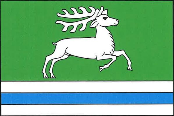List tvoří čtyři vodorovné pruhy, zelený, bílý, modrý a bílý, v poměru 7 : 1 : 1 : 1. V zeleném pruhu k vlajícímu okraji listu běžící bílý jelen. Poměr šířky k délce listu je 2 : 3.
