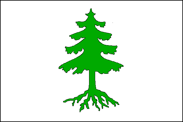 Na bílém listu zelený vykořeněný jehličnatý strom. Poměr šířky k délce listu je 2:3.