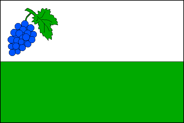 List tvoří dva vodorovné pruhy - bílý a zelený. V horním rohu na bílém poli modrý vinný hrozen na zeleném stonku s jedním listem. Poměr šířky k délce listu je 2:3.