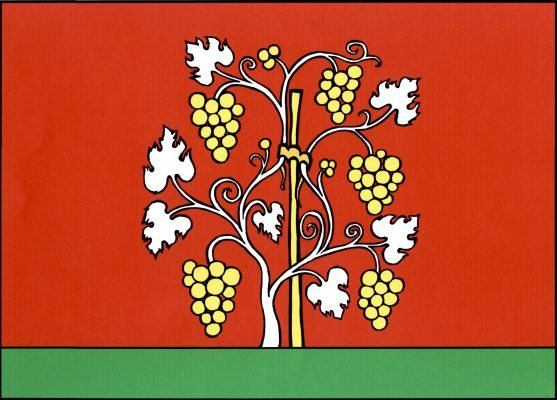 List tvoří dva vodorovné pruhy, červený a zelený, v poměru 7 : 1. Do červeného pruhu vyrůstá bílý keř vinné révy se žlutými hrozny přivázaný ke žlutému kolíku. Poměr šířky k délce listu 2 : 3.