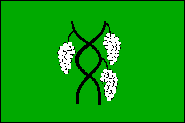 Zelený list se dvěma černými propletenými vinnými ratolestmi se třemi bílými hrozny. Poměr šířky k délce listu je 2:3.