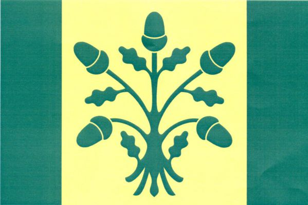 List tvoří tři svislé pruhy, zelený, žlutý a zelený, v poměru 1 : 3 : 1. Ve žlutém pruhu vztyčená vykořeněná dubová větev s pěti žaludy, vše zelené. Poměr šířky k délce listu je 2 : 3.