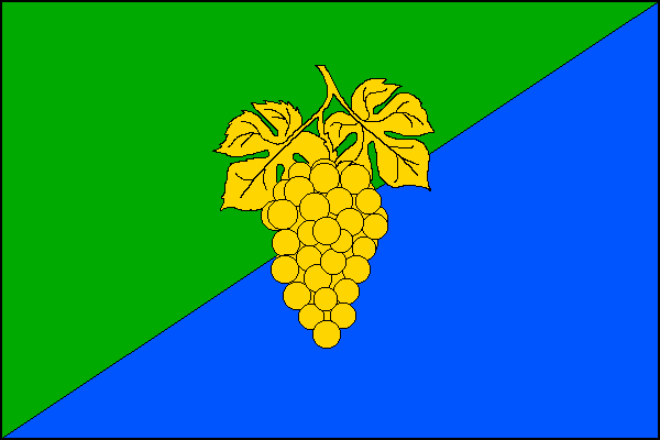 Zeleno-modře šikmo dělený list. Uprostřed žlutý vinný hrozen na stonku se dvěma listy. Poměr šířky k délce listu je 2:3.