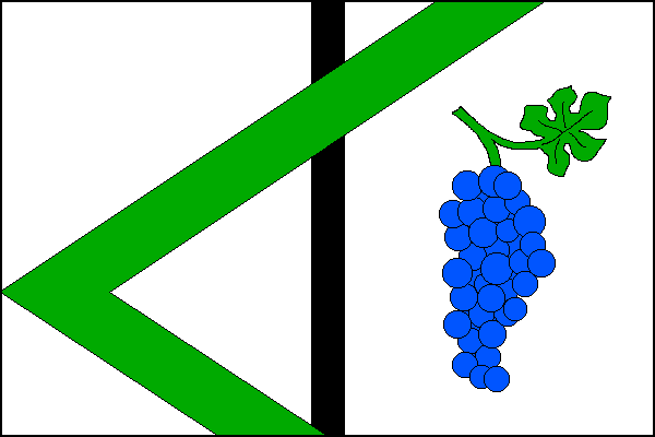 Bílý list s černým svislým středovým pruhem širokým jednu dvacetinu délky listu překrytý zeleným lomeným pruhem vycházejícím z páté šestiny horního a třetí šestiny dolního okraje a s vrcholem mezi druhou a třetí třetinou žerďového okraje. Ve vlající části