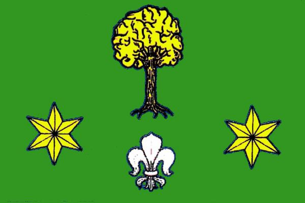 Zelený list, uprostřed žlutý vykořeněný listnatý strom nad bílou lilií. V dolní polovině žerďové a vlající části listu po jedné žluté šesticípé hvězdě. Poměr šířky k délce listu je 2:3.