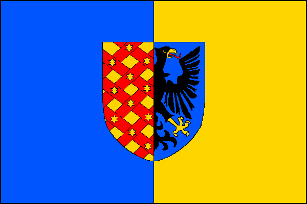 V polovině svisle dělený na pravou modrou a levou žlutou část, uprostřed na líci znak města Prostějova ve španělském štítu (výška štítu je 3/4 výšky praporu). Poměr stran 2:3.