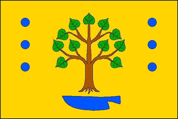 Žlutý list se zeleným vykořeněným listnatým stromem s hnědým kmenem nad modrou radlicí hrotem k žerdi. Strom je provázen po každé straně třemi modrými kruhovými poli pod sebou o průměru rovném jedné dvacetině délky listu. Poměr šířky k délce listu je 2:3.