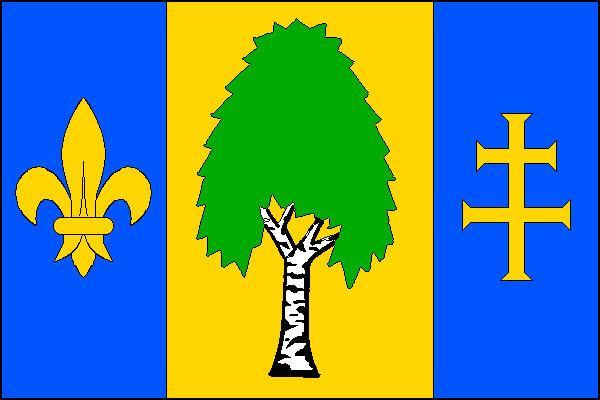 List tvoří tři svislé pruhy, modrý se žlutou lilií, žlutý se zelenou břízou s bílo-černým kmenem a modrý se žlutým tlapatým patriarším křížem, v poměru 2:3:2. Poměr šířky k délce listu je 2:3.