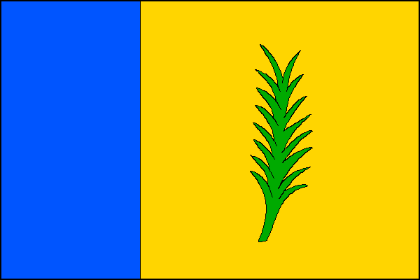 Modrá žerďová část, střední a vlající žlutá část se vztyčenou zelenou palmovou ratolestí. Poměr šířky k délce listu je 2:3.