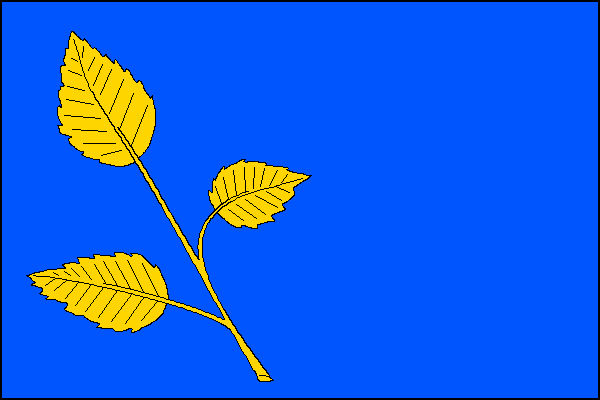 V modrém listě v žerďové polovině listu žlutá habrová ratolest se třemi listy. Poměr šířky k délce listu je 2:3.