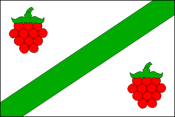 Bílý list se šikmým zeleným pruhem širokým jednu šestinu délky listu. V horním rohu a dolním cípu červená malina se zelenou stopkou a kališními lístky. Poměr šířky k délce listu je 2:3.