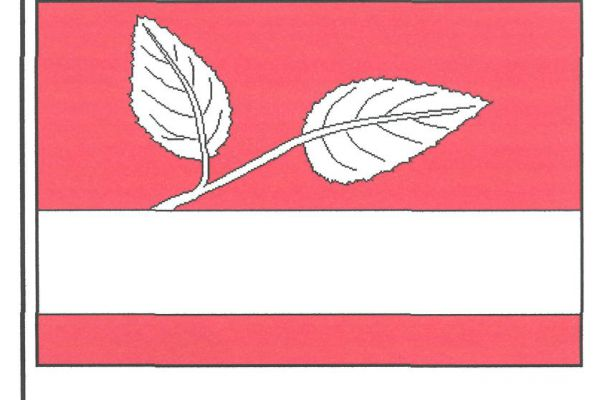 List tvoří tři vodorovné pruhy, červený, bílý a červený, v poměru 4 : 2 : 1. Z první čtvrtiny bílého pruhu vyrůstá šikmo bílá větev jilmu se dvěma listy. Poměr šířky k délce listu je 2 : 3.