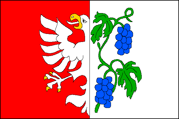List tvoří dva svislé pruhy, červený s polovinou bílého orla se žlutou zbrojí přiléhající k bílému pruhu se zelenou révovou ratolestí se dvěma listy a dvěma modrými hrozny u červeného pruhu. Poměr šířky k délce listu je 2:3.