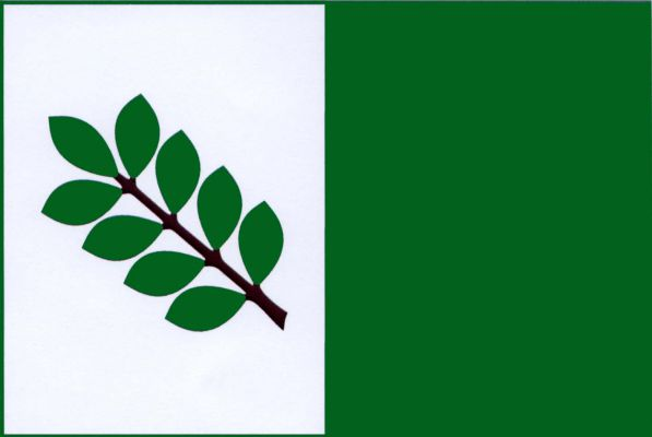 List tvoří dva svislé pruhy, bílý a zelený. V bílém kosmo list jasanu s devíti zelenými lístky na hnědém řapíku. Poměr šířky k délce listu je 2 : 3.